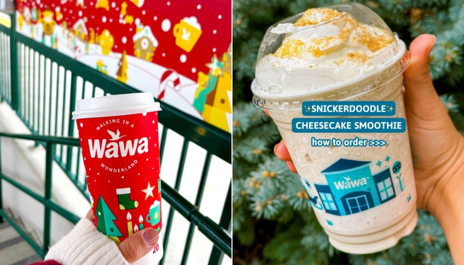 wawa cashstar gift card settlement